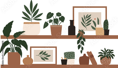 Two wooden shelves with various plants and decorative items on a white background
