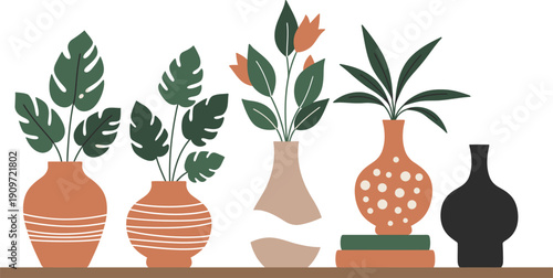 Colorful illustration of plants and vases on a wooden shelf with white background