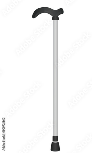 Silver walking sticks. vector illustration