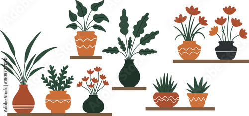 Colorful illustration of various plants and flowers in decorative pots on shelves