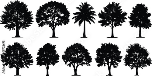 Silhouettes of diverse tree species including palm, showcasing unique foliage patterns and natural shapes for environmental design reference