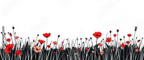 Elegant watercolor poppy field with red blossoms and soft peach abstract background. Modern botanical illustration with black line stems and minimal aesthetic.