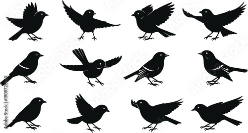 Set of black bird silhouettes in flight and perched positions, small songbird vector icons isolated on white background, avian nature wildlife design elements