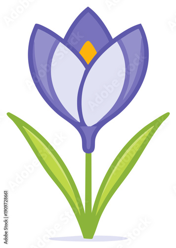 Purple crocus flower illustration, blooming spring plant, nature flat design