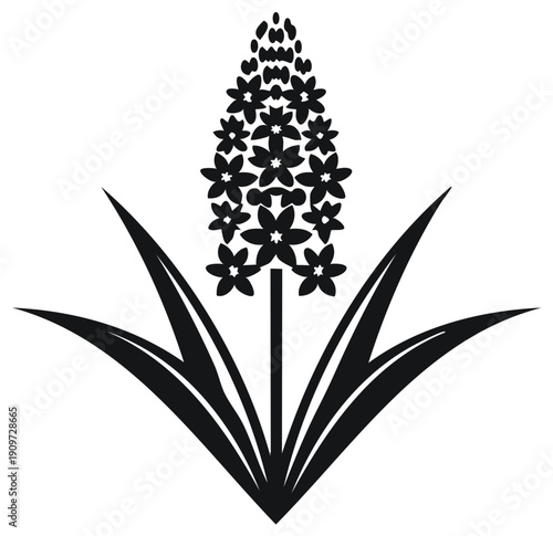 Elegant monochrome hyacinth flower graphic silhouette blooming floral design with leaves illustration for nature inspired projects