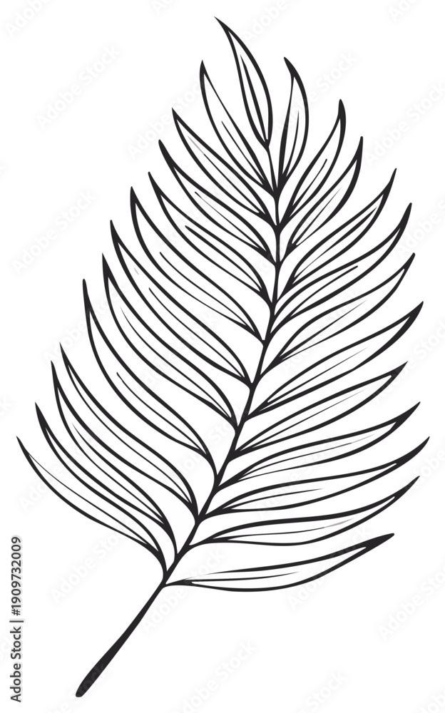Obraz premium Elegant tropical palm frond illustration with delicate linear details and flowing lines