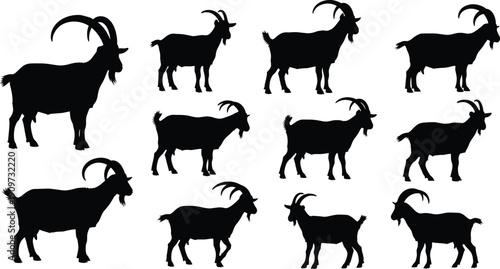 Collection, of, twelve, goat, and, ibex, silhouettes, in, various, standing, and, walking, poses, isolated, on, white, background, for, farm, nature, wildlife, and, livestock, design, projects.