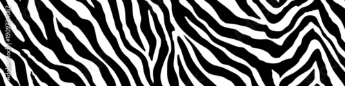 Fototapeta Zebra skin pattern. Seamless zebra texture, vector background