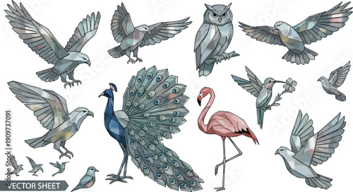 Assorted birds including peacock and flamingo in various poses and flight vector illustrations
