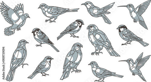Various birds in different poses and actions illustrated in a clear graphic style on a clean background