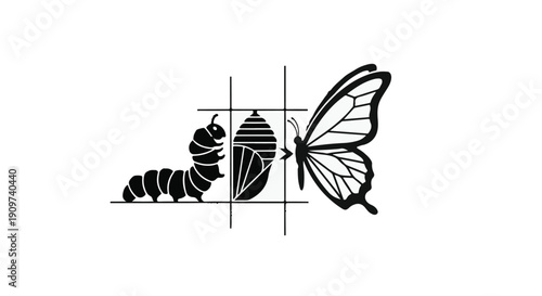 Butterfly transformation stages illustration, caterpillar, chrysalis, butterfly emerging, metamorphosis process, life cycle, nature, biology, educational, vector graphics