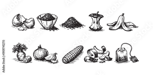 A black and white illustration of common compost items including food scraps, coffee grounds, eggshells, and vegetable peels. Environment, sustainability, food, and waste themes.
