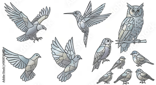 Various birds in flight and perched, illustrated in grayscale, viewed from multiple angles, showcasing different species, Whisk_b5c0785b0f58e728b1942b10c31aea65dr.eps