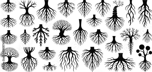 Tree root silhouettes illustration with branching patterns, spiral trunks, abstract designs, botanical diversity, black and white artwork, nature concept