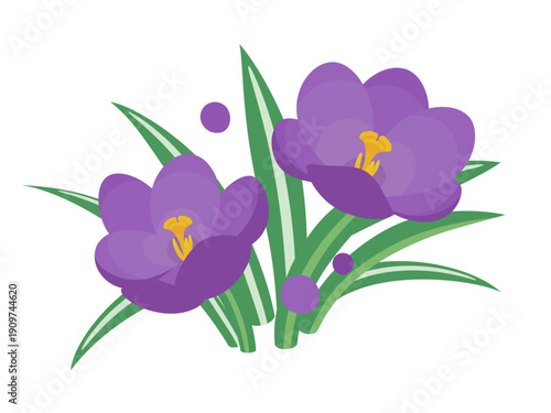 かわいいクロッカスのイラスト素材