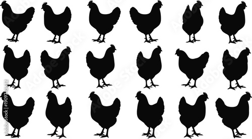 Chicken hen silhouettes collection, farm poultry bird poses set, domestic fowl vector illustration isolated on white background