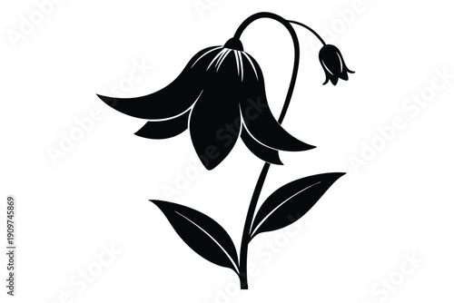 bellflower silhouette line art vector illustration