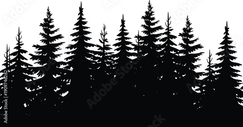 Forest silhouettes illustration with pine and fir trees, dense foliage, natural skyline, black and white artwork, landscape, environment design concept