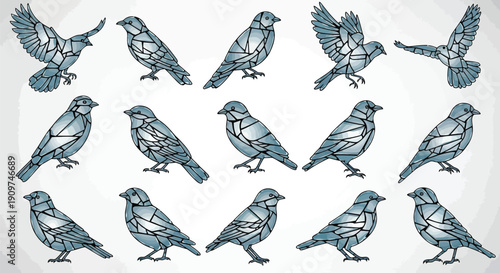 Collection of birds in various poses and flight, vector illustration style, digital art