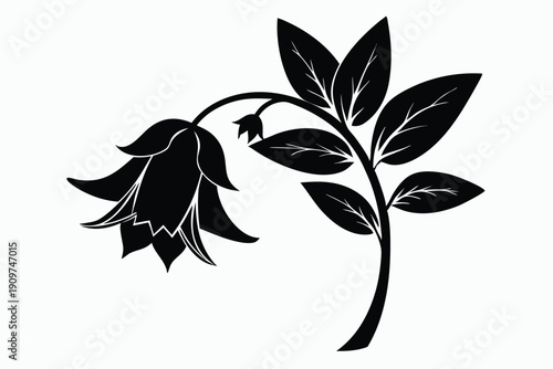 bellflower silhouette line art vector illustration