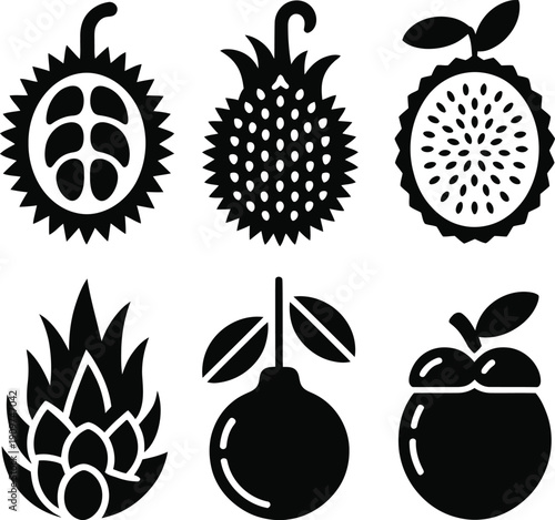 Black and white fruit tropical fruit durian jackfruit