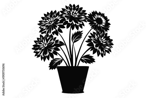 aster vase silhouette line art vector illustration