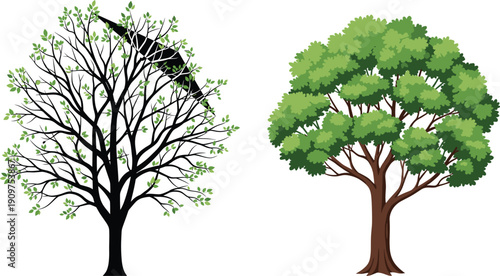 Healthy and damaged tree illustration, nature contrast, environmental concept, foliage comparison, seasonal change, botanical art, arboriculture visual, green leaf texture