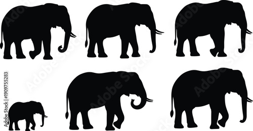 Canvas Print Black silhouettes of elephants in various poses white background animals