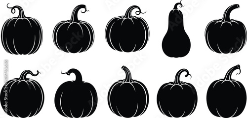 Black silhouettes of various pumpkins and one gourd on white background vegetable