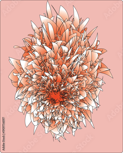 An abstract floral explosion composed of layered, petal-like forms radiating from a fiery red core. Soft peach and coral tones blend with crisp white highlights and fine black linework, creating a sen