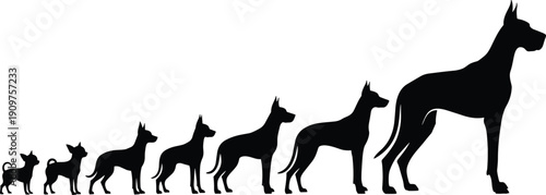 Black silhouettes of dogs in different sizes white background size comparison