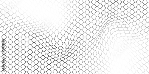 Fishing or soccer net. Repeated hexagon pattern. Black wired mesh texture isolated on white background. vector Eps10.