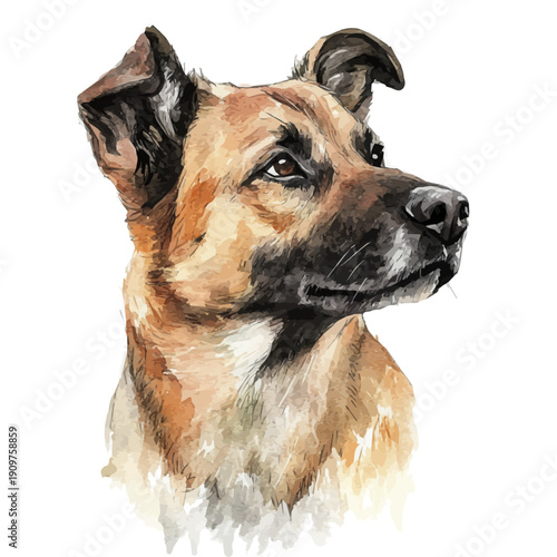 watercolor vector of Dog , isolated on a white background.