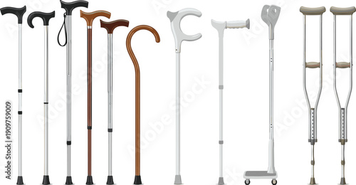 Mobility aids illustration, walking canes crutches diagram, medical rehabilitation equipment, assistive devices healthcare support, orthopedic anatomy reference art