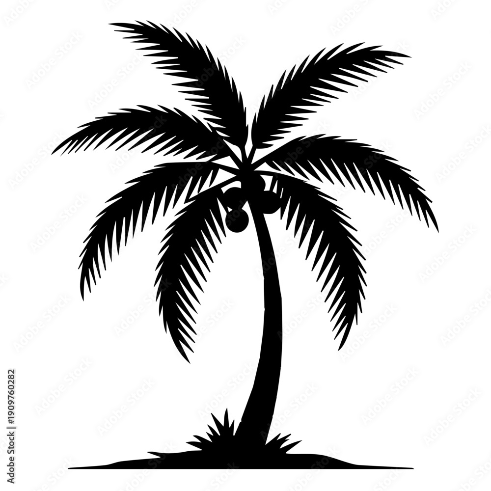 Obraz premium Silhouette of a tropical coconut palm tree with fronds and fruit