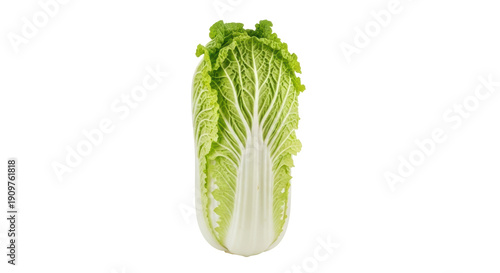 Bilde på lerret Fresh napa cabbage PNG isolated on transparent background, healthy vegetable for