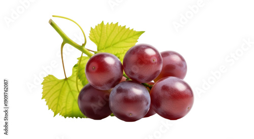 Tablou pe pânză Red grapes with leaves isolated PNG, fresh fruit still life on transparent backg