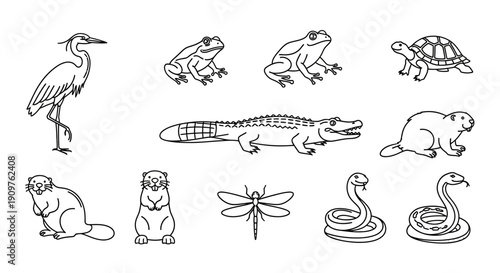 Collection of various wetland and aquatic animals, including birds, amphibians, reptiles, and insects, depicted in a simple line art style.
