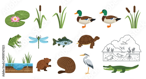 Set of various pond animals and plants including ducks, frogs, fish, turtles, and beavers.