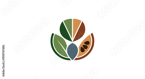 Colorful citrus fruit slices arranged in a circular pattern.