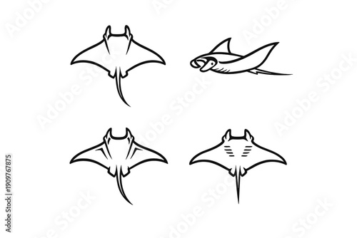 A collection of four minimalist black line art illustrations of manta rays shown from different angles, including top-down and side views, isolated on a plain white background.