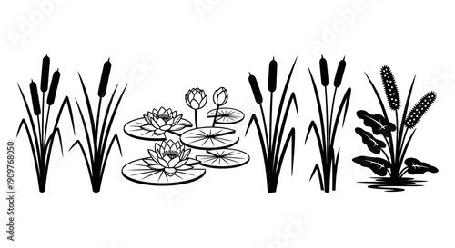 Black and white vector illustration of various aquatic plants including cattails and water lilies, perfect for nature-themed designs.