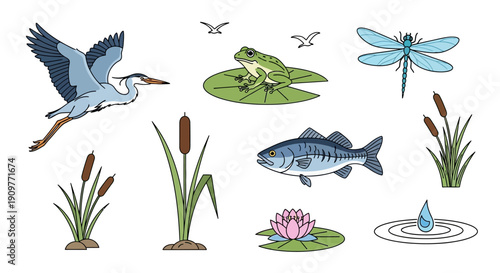 Set of various wetland animals and plants, including a heron, frog, fish, dragonfly, cattails, and water lily.