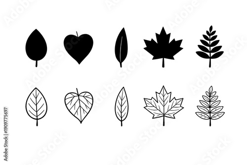 A black and white illustration featuring five distinct leaf shapes and types, including heart-shaped and maple-like leaves, arranged in a horizontal row with alphabetical labels.