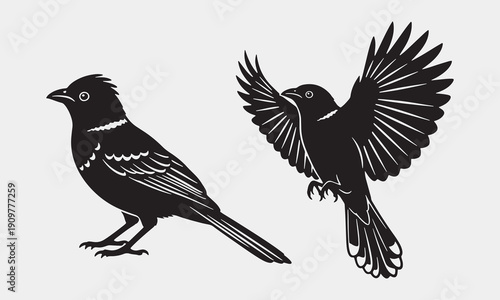 Pair of detailed bird silhouettes, one standing with distinct feather patterns and one captured mid-flight, dark against light
