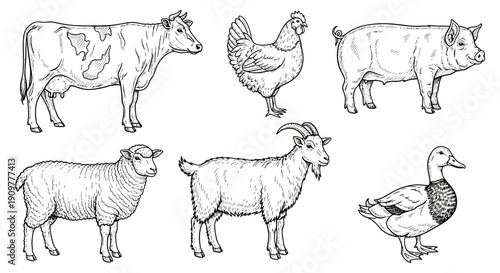 Farm animals and poultry illustrated in a simple line art style on a clean background, viewed from the side, Whisk reference