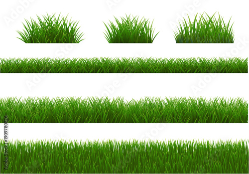 Grass Border With White Background