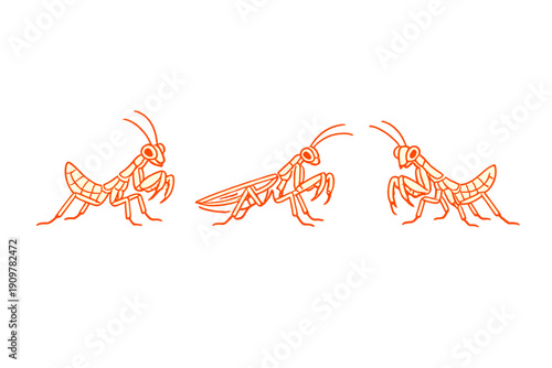 Three stylized orange line art illustrations of praying mantises are shown against a solid black background. Each insect is depicted in a different pose with detailed segmented bodies.
