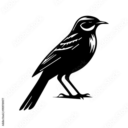 vector illustration of a Skylark bird