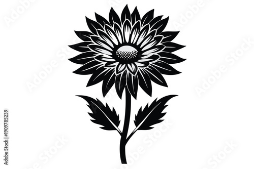 gaillardia silhouette line art vector illustration